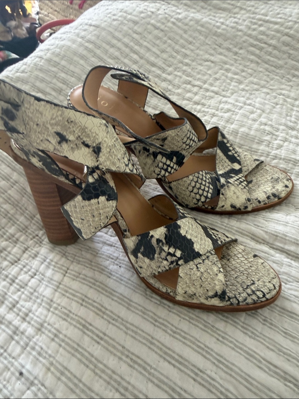Joie Snake-Print Crisscross Block Heel Sandals - Black & Cream